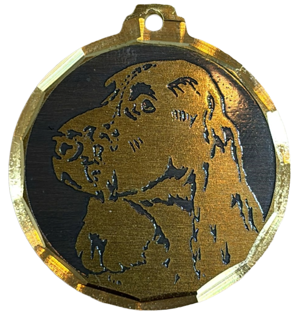 Médaille chien gravée Springer Spaniel