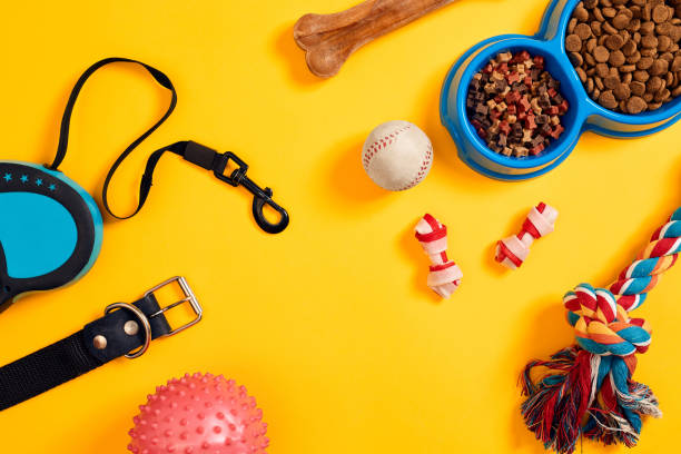 les accessoires indispensables pour chiot